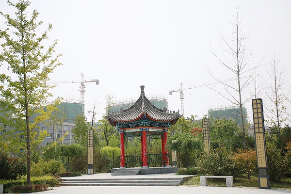 欧洲杯2025